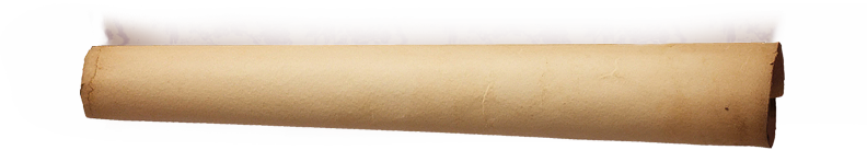 Bottom Scroll
